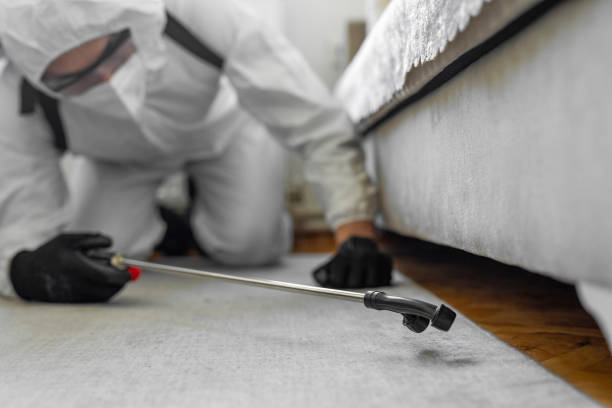 Professional Bed Bug Control technician working in Toast, NC